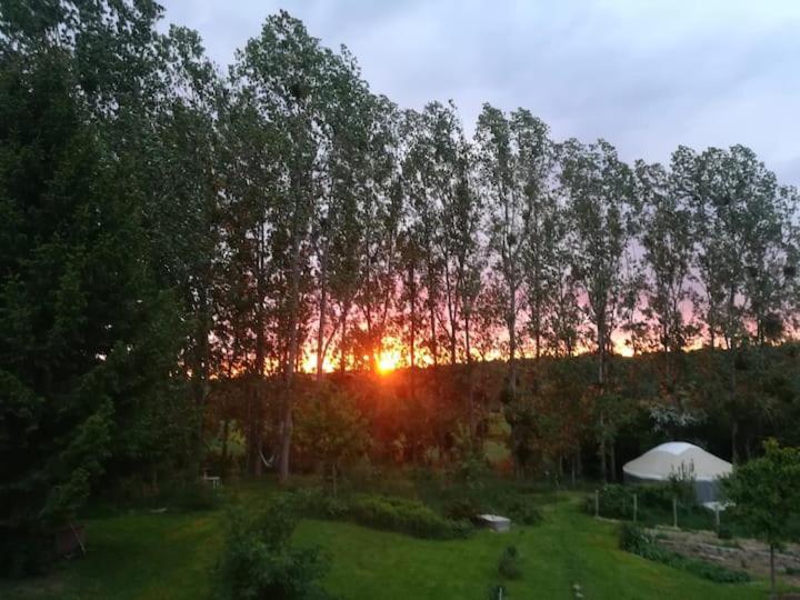 La Yourte Au Fonds Du Jardin Xhoris Екстер'єр фото